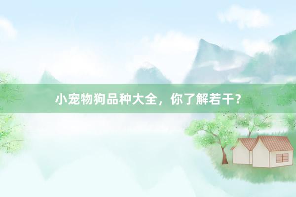 小宠物狗品种大全，你了解若干？
